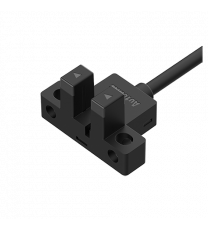 BS5-L1R