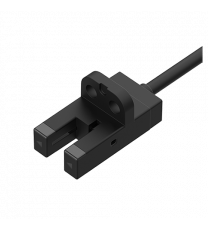 BS5-V1M