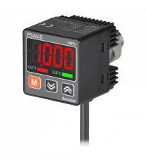 PSAN-B1V-R1/8
