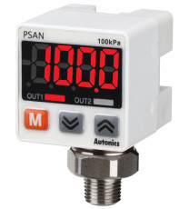 PSAN-L1CPA-NPT1/8