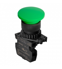 S2BR-P1GA