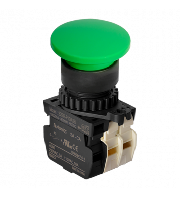 S2BR-P1GA2B